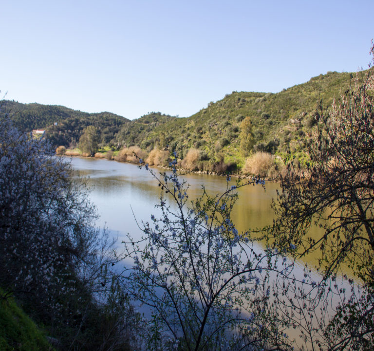 Río Guadiana excursión fluvial + almuerzo