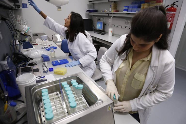 La I+D en el nuevo gobierno: innovación vs estabilidad