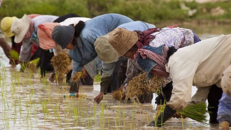 El metano amenaza la lucha contra el cambio climático