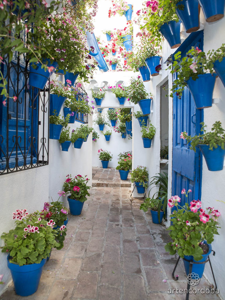 Visita a los patios cordobeses