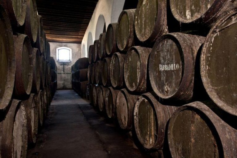 Visita a la Bodega Barbadillo en Sanlúcar de Barrameda