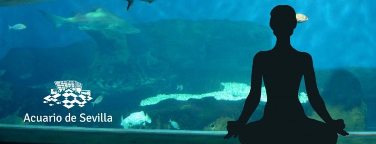 Visita libre al Acuario + Sesión de Yoga