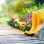 1202272391-kSjE–620×349@abc