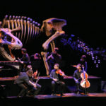14_carnaval_de_los_animales