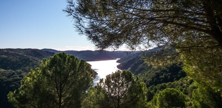 Actividad de senderismo «Embalse del Gergal»