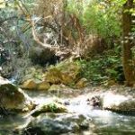Río Majaceite