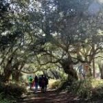 los secretos de doñana