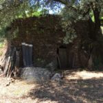 IMG_1642-e1495642477449