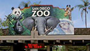 Visita virtual: Zoológico de San Diego