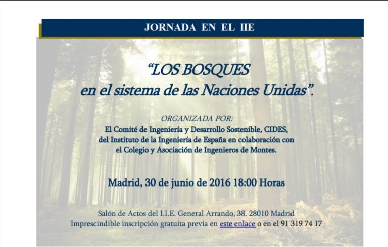 ‘Los bosques en el sistema de las Naciones Unidas’
