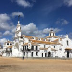 marismas-de-El-Rocío-4