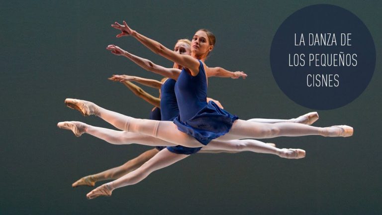 La danza de los pequeños cisnes