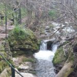 sendero-rio-majaceite nivel 1