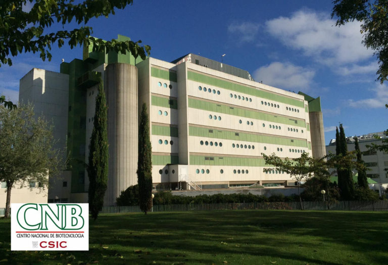 El Centro Nacional de Biotecnología y el COVID-19