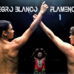 negro blanco flamenco