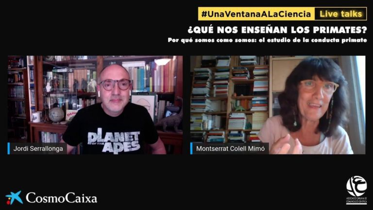 «¿Qué nos enseñan los primates?» CosmoCaixa Live Talks