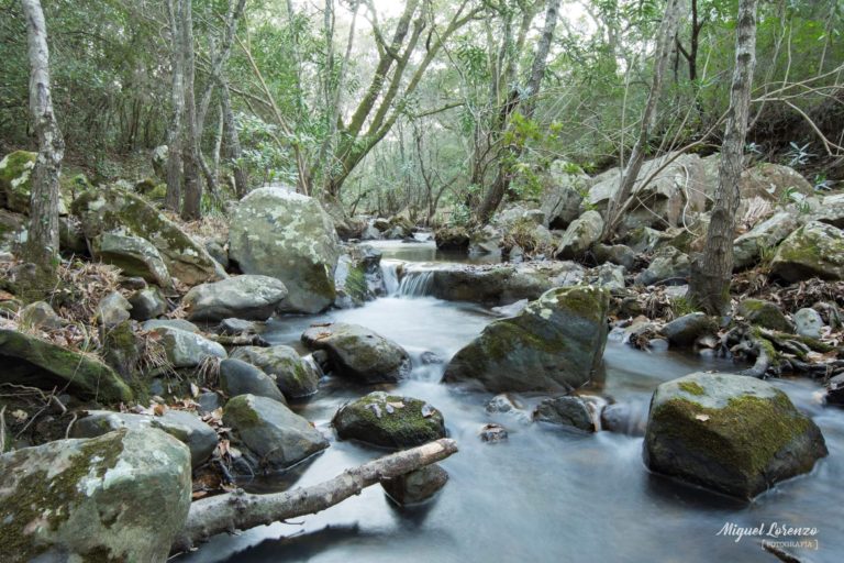 Sendero Arroyo Valdeinfierno + Taller de Estrellas y Constelaciones