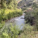 Foto-16-6-20-10-02-48-980×735