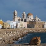 38923249575_fdaa269626_b