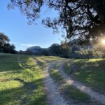 Foto-16-1-20-9-44-06