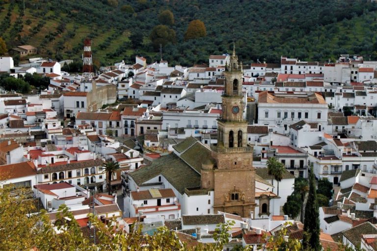 Senderismo «Setas de otoño en la Sierra Norte»