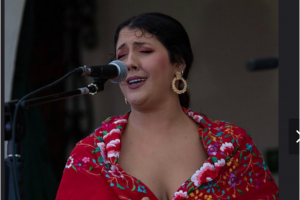 «Flamenco: Cante, Baile y Toque»