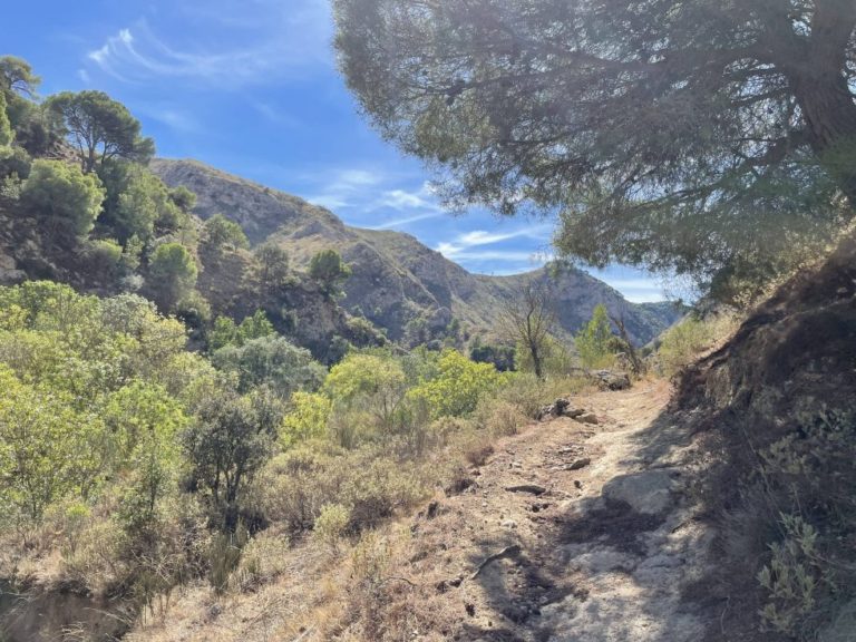 Senderismo ‘Hoz del Arroyo Marín’