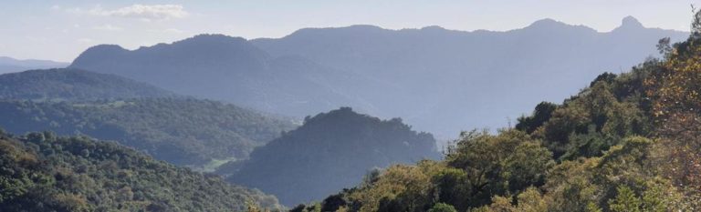 Senderismo ‘Sendero del Tesorillo’