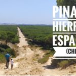 sendero-pinar-de-hierro-adondevoyconmifamilia-portada