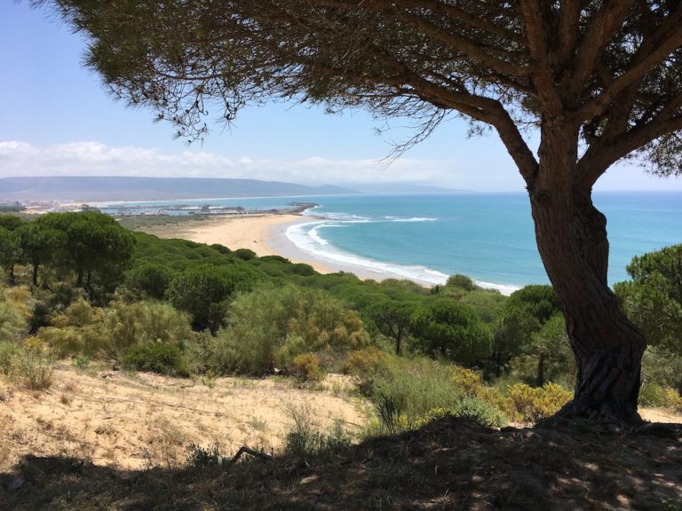 Senderismo ‘La Breña de Barbate’