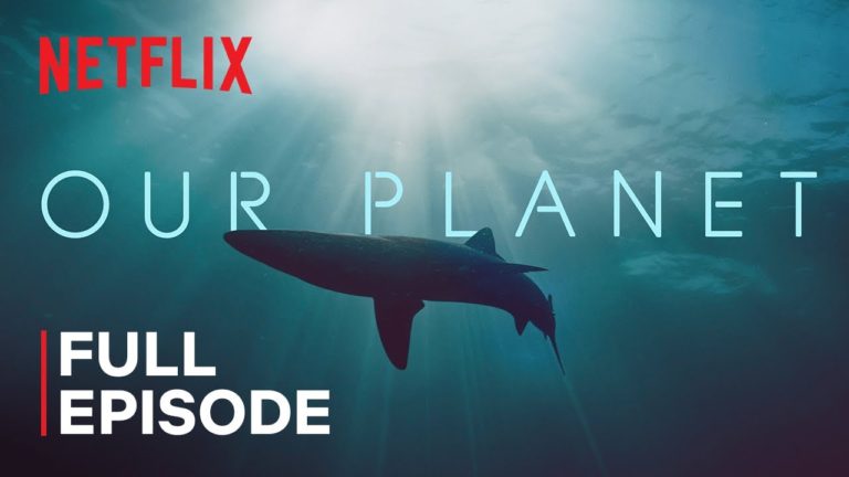 Episodio completo de Our Planet de Netflix