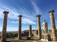 Visita Guiada Yacimiento Baelo Claudia + Museo Arqueológico