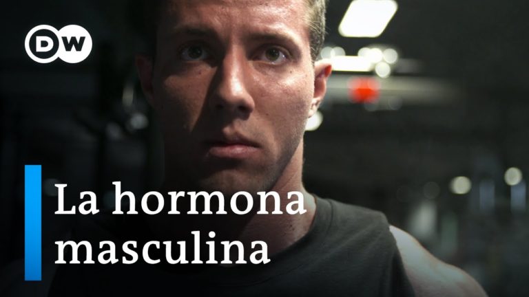 Testosterona – La fuerza motriz de los hombres | DW Documental