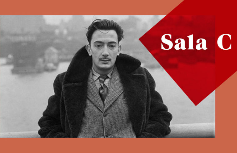Salvador Dalí. Diarios de juventud. 1904-1929