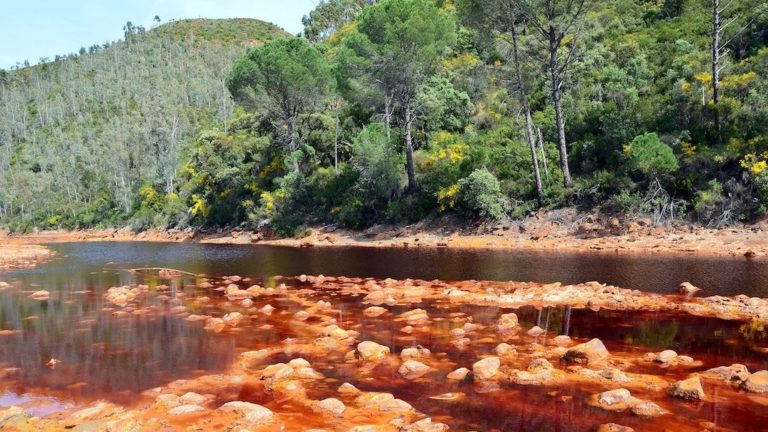 Senderismo: La Juventud del Rio Tinto