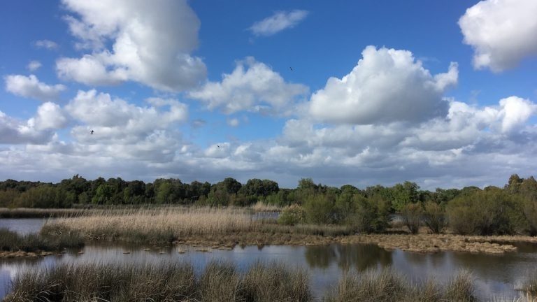 Senderismo: Excursión a las Marismas de Doñana