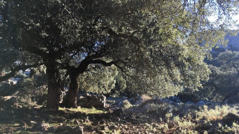 Senderismo: Torcal de Cancha Bermeja por los Llanos del Republicano