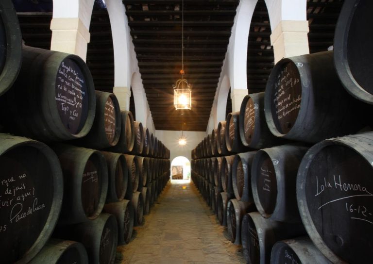 Visitas a bodegas Tio Pepe