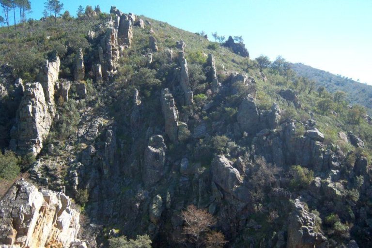 Senderismo: Riscos de Levante y Bosque de las Letras