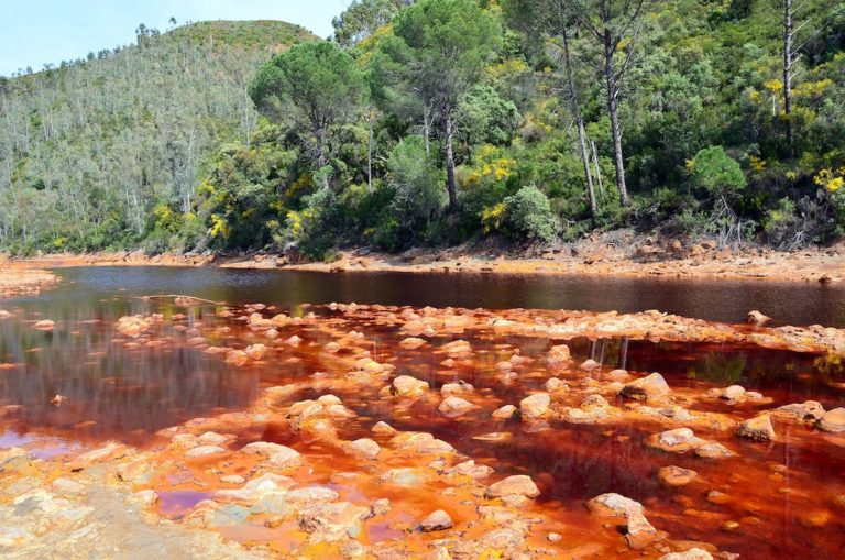 Senderismo: La Juventud del Río Tinto