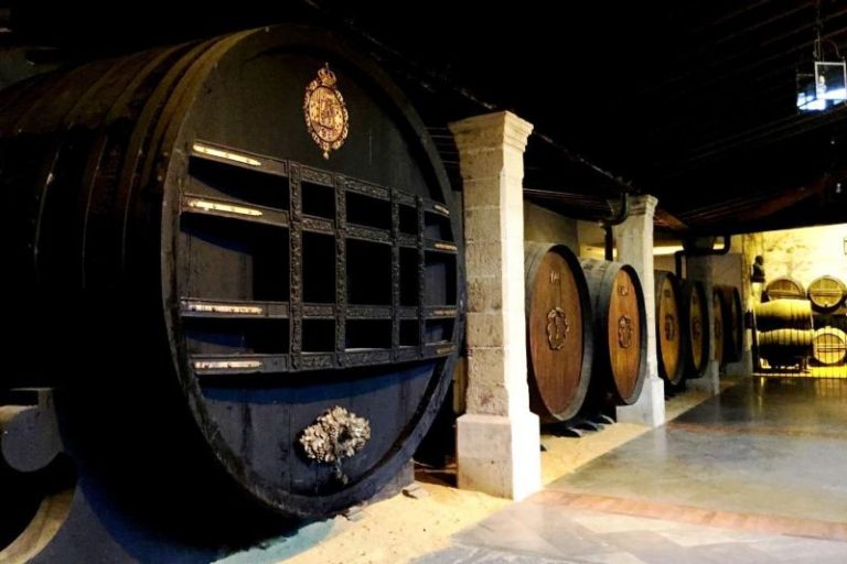 Visitas a bodegas Tio Pepe