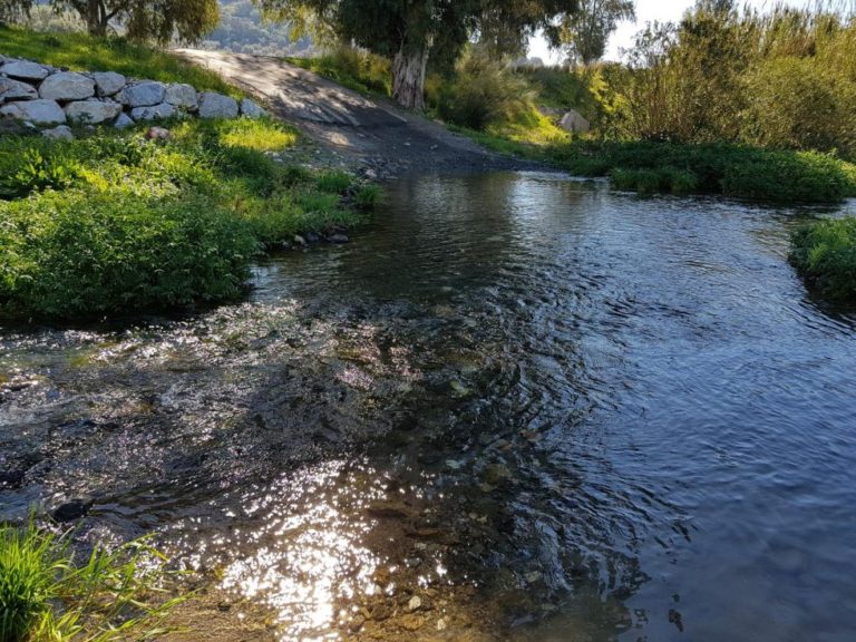 Senderismo: El Pedroso-Arroyo de las Cañas
