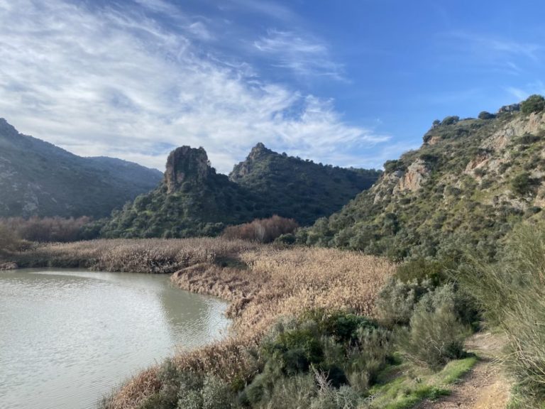 La ruta del Tempranillo