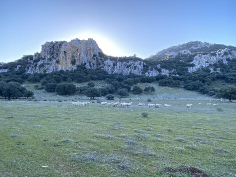 Las Lagunas del Río Campobuche