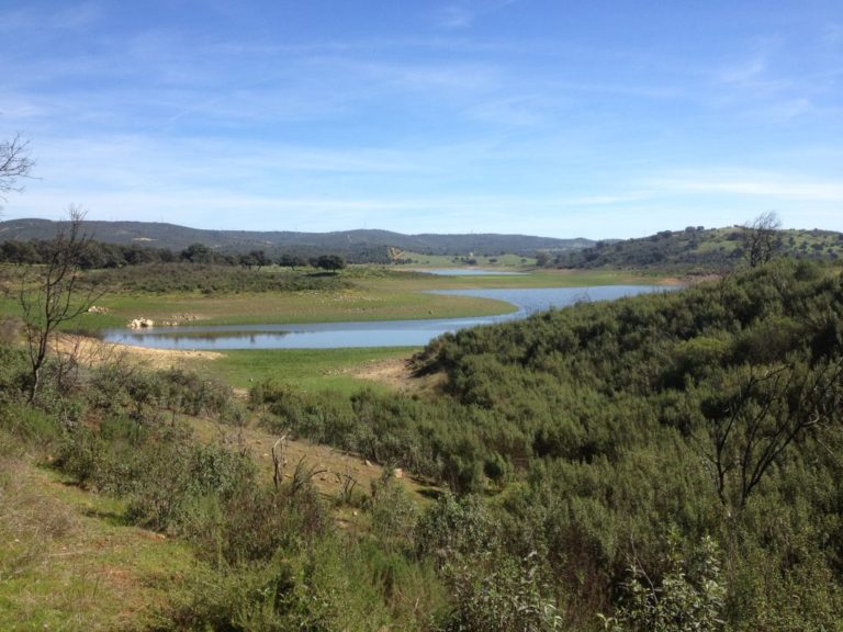 Los Brezales en El Ronquillo
