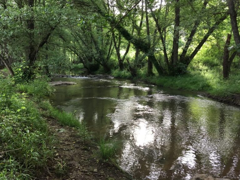 El Molino del Corcho