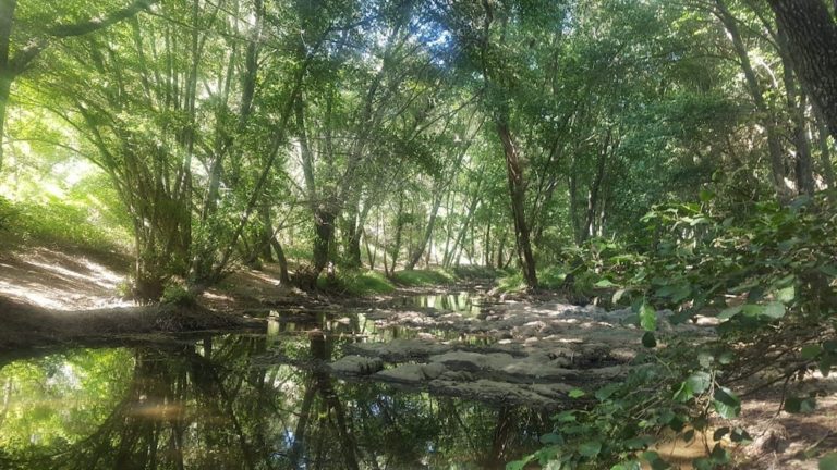 Molino del corcho y Estaciones del Hueznar