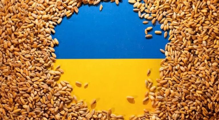Tras un año de Guerra en Ucrania. Evolución e Impacto en el Sistema Agroalimentario Europeo y Español
