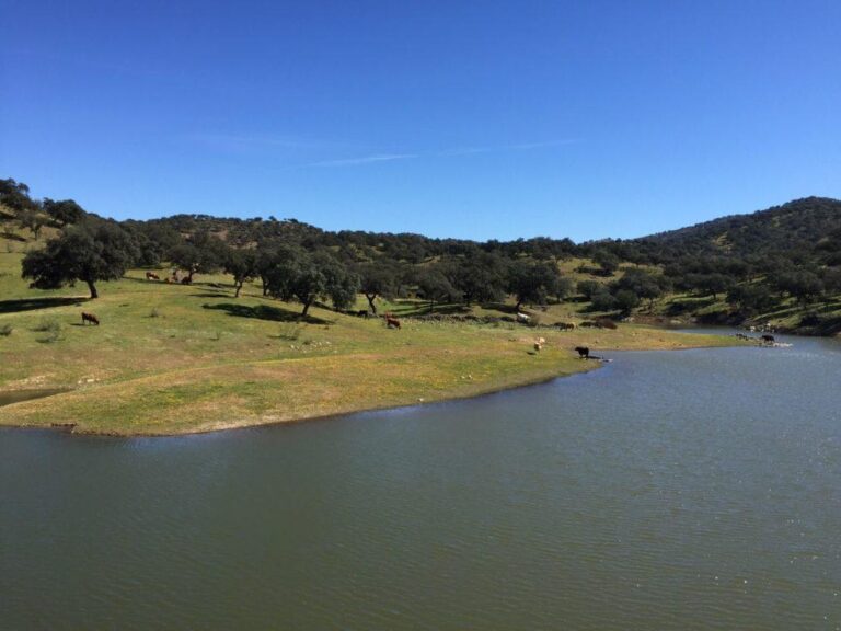 Ruta familiar: Embalse La Minilla
