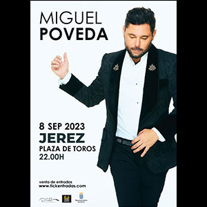 Flamenco Miguel Poveda en concierto